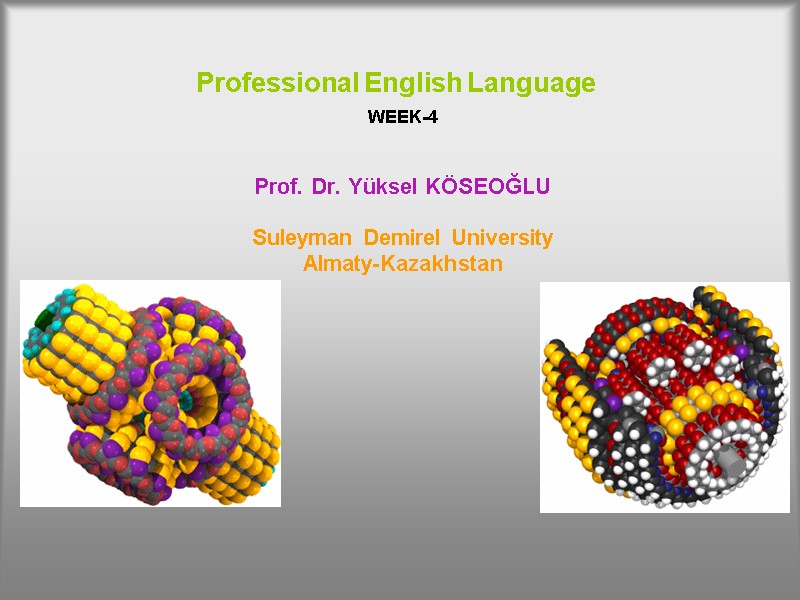 Professional English Language     WEEK-4   Prof. Dr. Yüksel KÖSEOĞLU